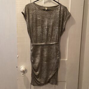 Elegant Metallic Dress